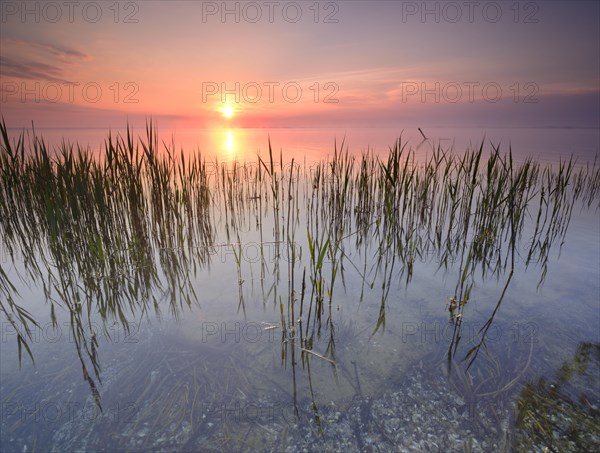Sunrise at the Muritz