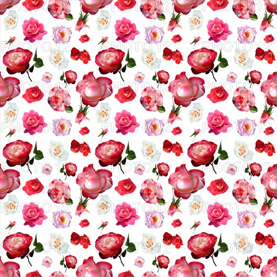 Wallpaper