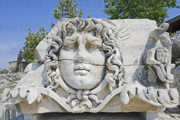 Medusa head