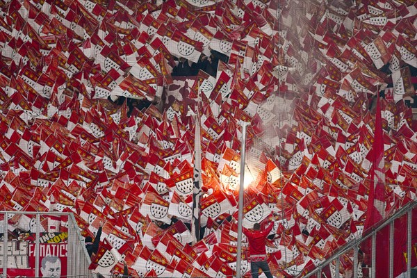 Cologne fans with flags