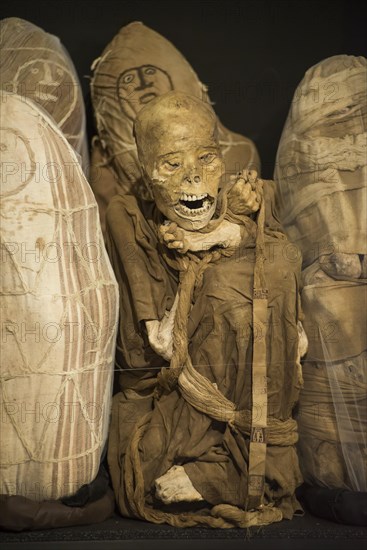 Mummies