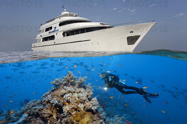 Above: liveaboard