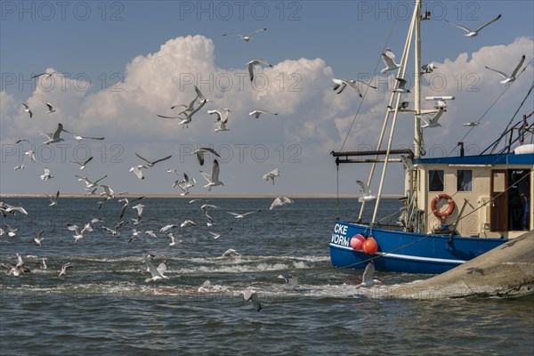 Fishcutter with casted nets at crabs catching