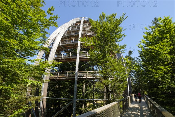 Tree tower