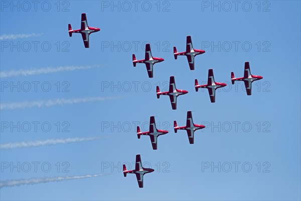 Canadian Armed Forces Snowbirds