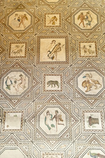 Roman Floor Mosaic