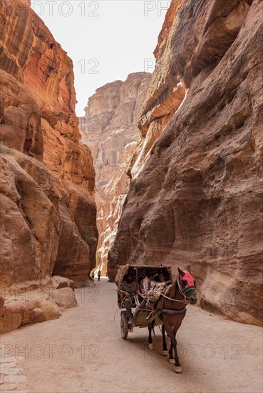 Horse-drawn carriage into the Siq Gorge