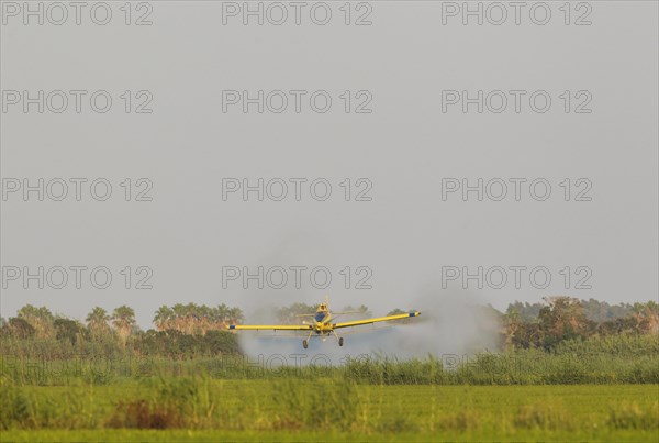 Crop duster plane flying low while spraying an anti mosquito substance onto the rice fields