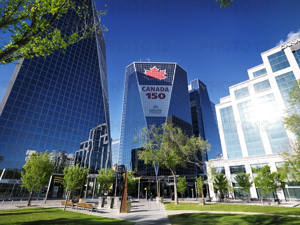 Victoria Park and McCallum Hill Centre Towers