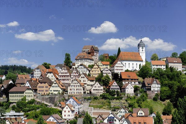 Cityscape with Castle Altensteig