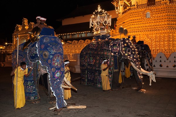 Decorated elephants