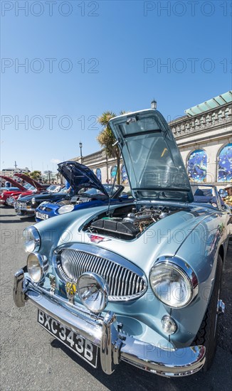 Alter Austin Healey