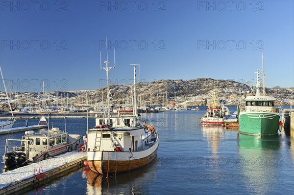 Fishing boats in the harbour