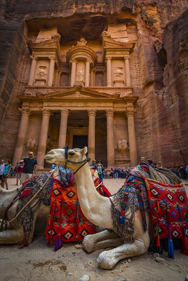 Dromedaries in front of the Pharaoh's treasure house carved out of rock