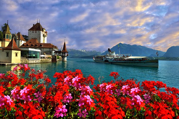 Steam boat with castle Schloss Oberhofen on the Thunersee