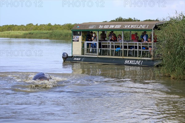 Tourist boat