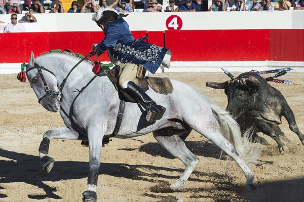 Bullfight in Alcochete