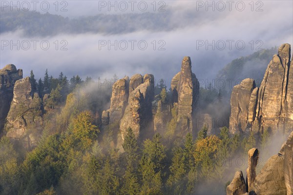 Rock serrated crown