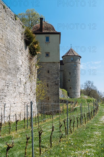 Wall and towers