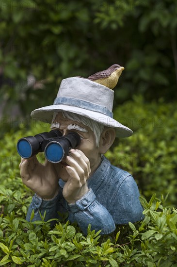 Human figure with bird on hat and binoculars looking over a hedge