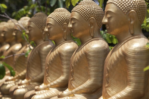 Golden Buddha statues