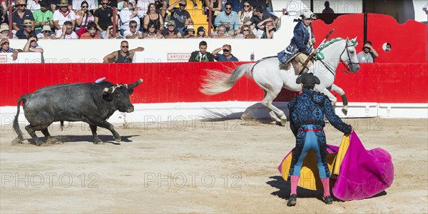 Bullfight in Alcochete