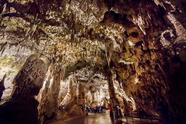 Caves of Postojna