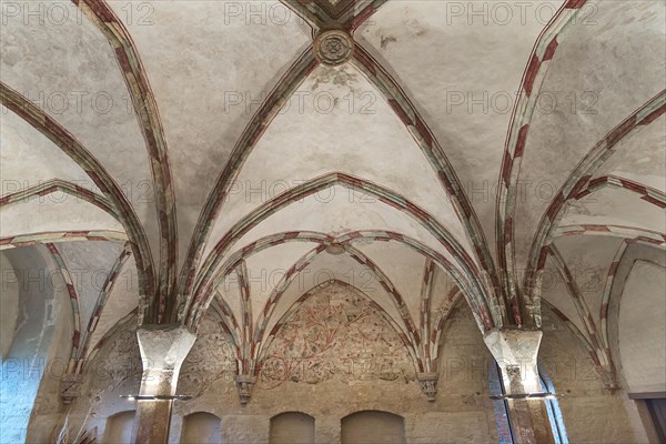 Vaulted ceiling