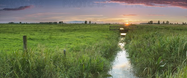 Irrigation ditch