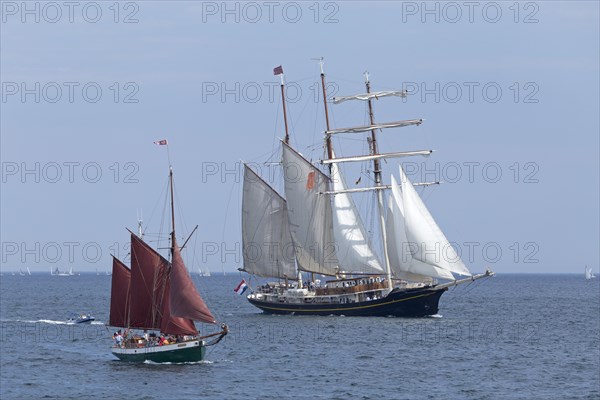 Sailboats Gulden Leeuw