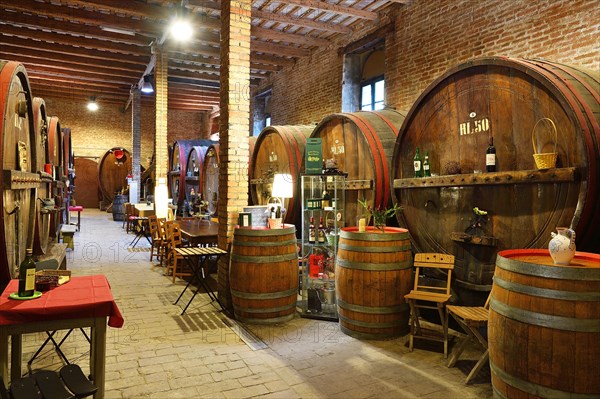 Barrels in cellar