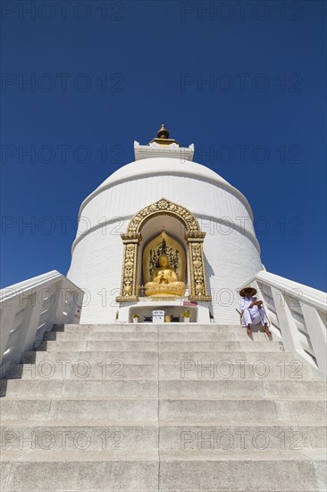 World Peace Pagoda