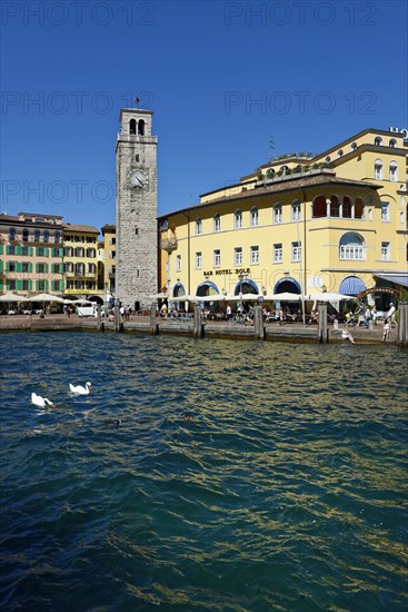 Harbour
