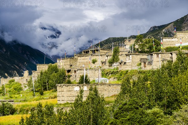 Stone houses