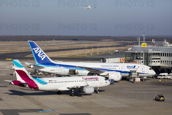 Aircraft ANA All Nippon Airways Boeing 787-8 Dreamliner