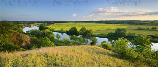 View of the river Saale