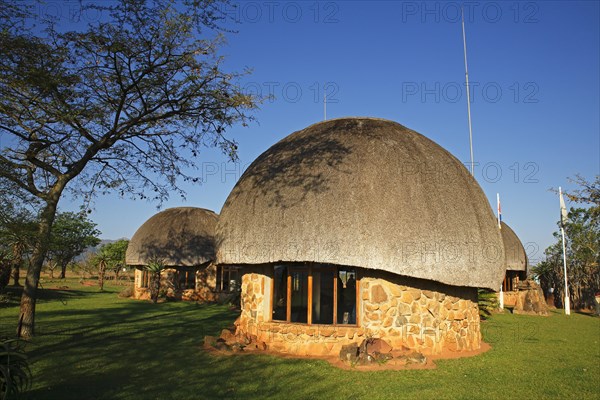 Small mushroom-shaped houses