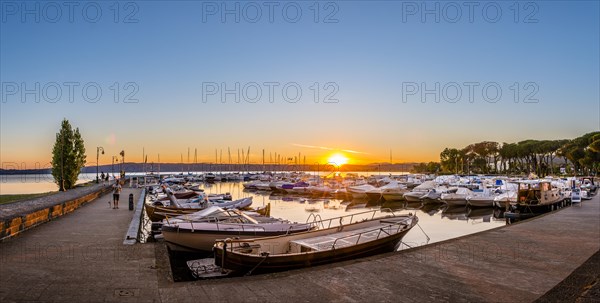 Boats in the harbor