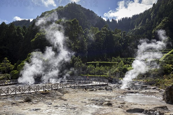 Wooden footbridge through fumaroles