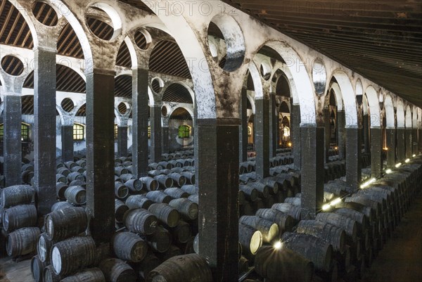 Stacked oak barrels in the wine cellar La Catedral