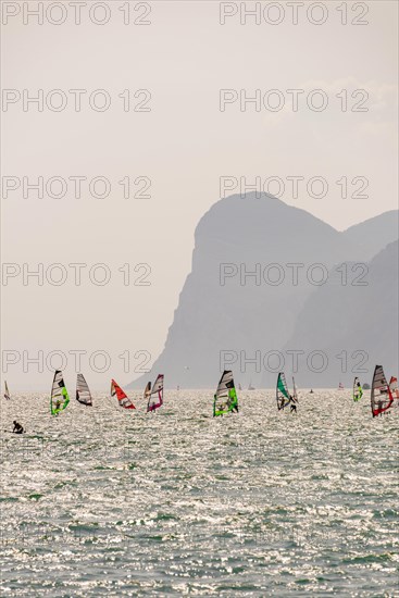 Many windsurfers with colorful sails