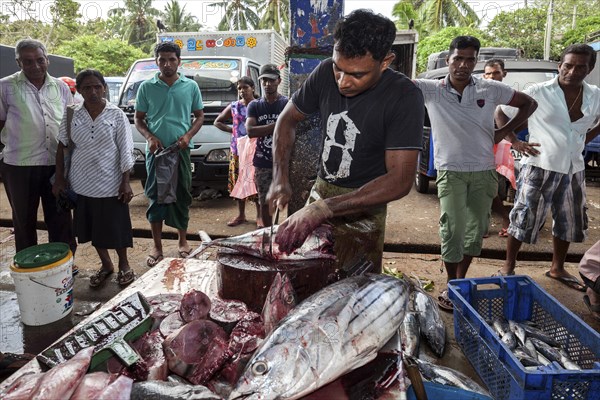 Fish seller