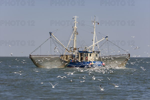 Fishcutter with casted nets at crabs catching