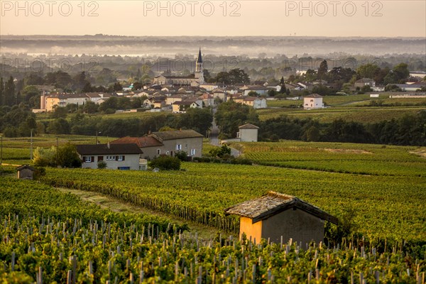 Romaneche-Thorins village