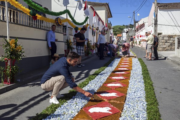 Flower carpet