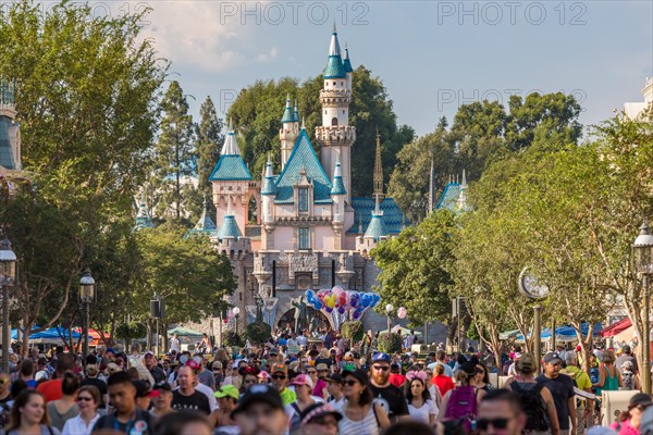 Sleeping Beauty Castle