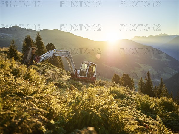 Excavator at sunrise with mulcher