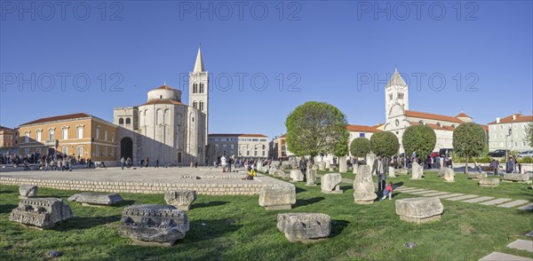 Roman Forum with church Sveti Donat with Campanile