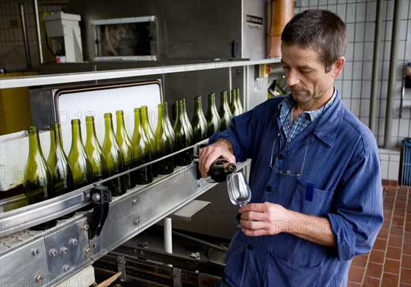 Cellarmaster during the quality control during the bottling