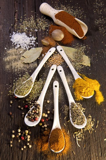 Various dried spices on small spoons